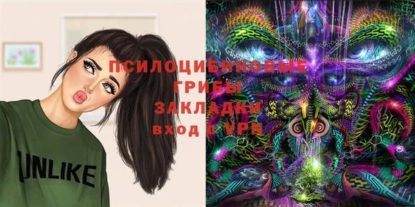 ГАЛЛЮЦИНОГЕННЫЕ ГРИБЫ Краснотурьинск