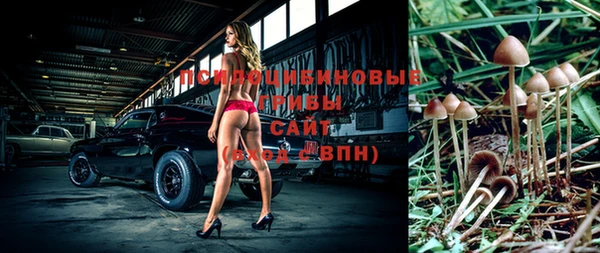 ГАЛЛЮЦИНОГЕННЫЕ ГРИБЫ Краснотурьинск