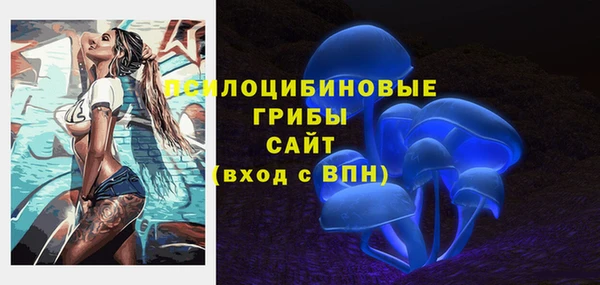 ГАЛЛЮЦИНОГЕННЫЕ ГРИБЫ Краснотурьинск