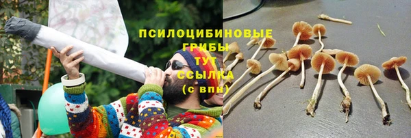 прущая мука Каменногорск