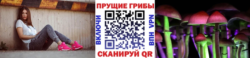 Галлюциногенные грибы Magic Shrooms  Купить где  Верея 